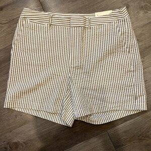 Striped Tan Women's Shorts